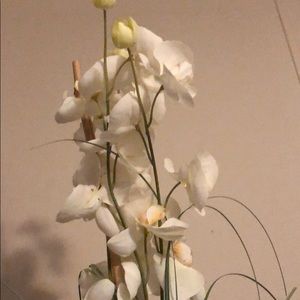 Meet your Posher, Iris